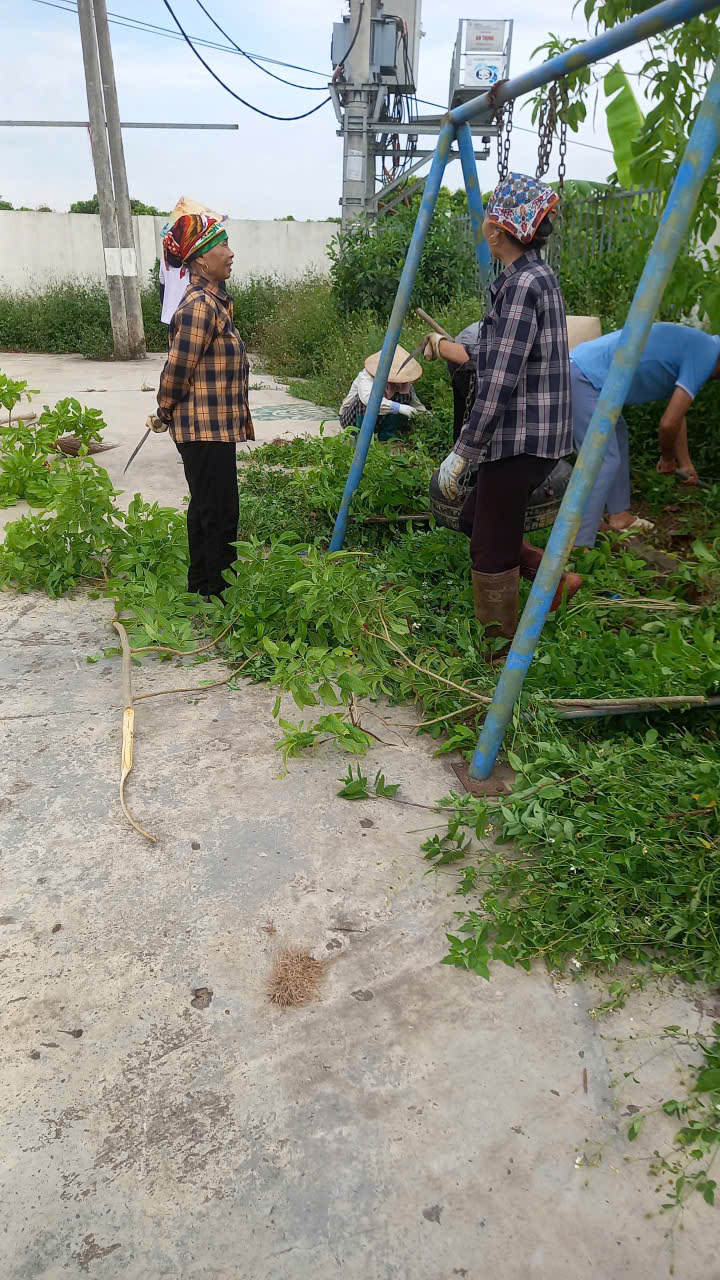 Thôn An Phú dọn vệ sinh môi trường.mp4